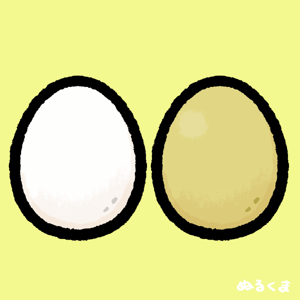 赤卵と白卵の鶏卵のイラスト素材